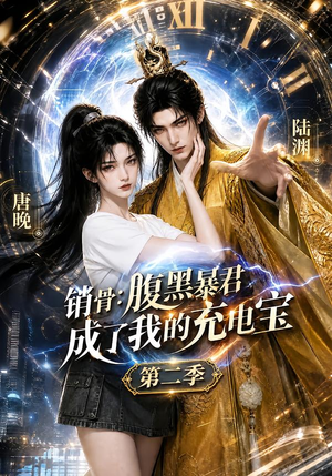 销骨：腹黑暴君成了我的充电宝第二季（142集）口碑之选免费看
