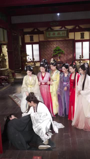 龙图录:绣衣定乾坤(106集) 龙图录:绣衣定乾坤(106集)短剧热门合集