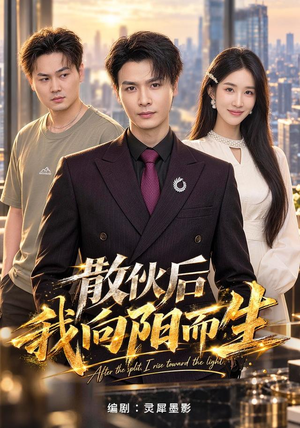 散伙后我向阳而生精彩的网络短剧