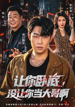 让你卧底,没让你当大哥啊(80 集) 让你卧底,没让你当大哥啊(80 集)最新热门短剧