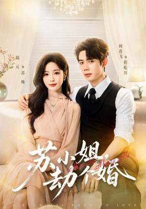 苏小姐，劫个婚（80 集）男主角是谁