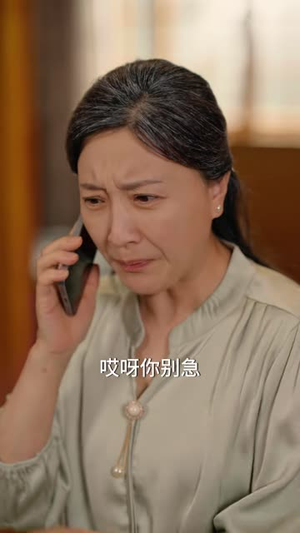 黄昏:彩礼见人心(63 集) 黄昏:彩礼见人心(63 集)免费看