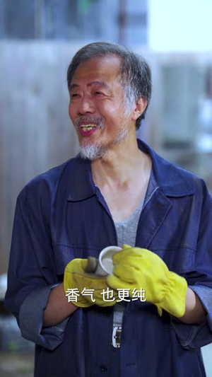 情定周窑(61 集) 情定周窑(61 集)大结局完美收官