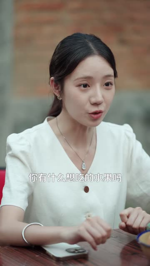 逆袭,从打工妹到商业女王(86 集) 逆袭,从打工妹到商业女王(86 集)双胞胎梗