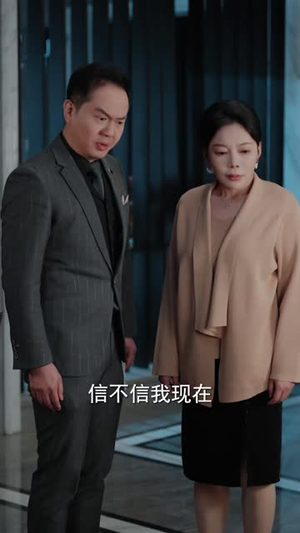 完美入侵,与她的完美反杀(40 集) 完美入侵,与她的完美反杀(40 集)灰姑娘逆袭