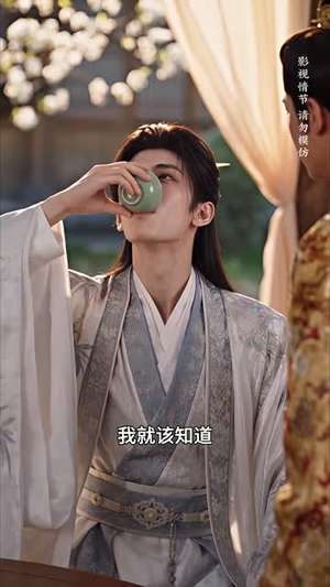 京华团宠小阿蛮（164集）凤凰男