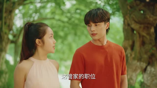 去养心的地方（32 集）高清实时追更中