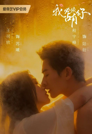 我必须占有你(63 集) 我必须占有你(63 集)免费看剧