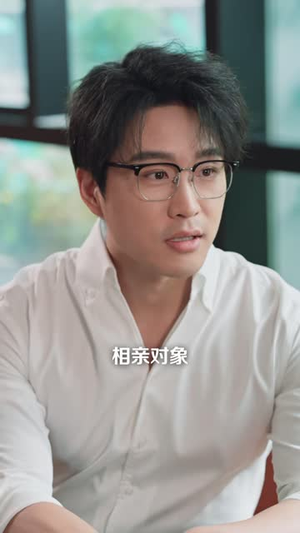AA制三十年，他后悔了（77 集）离线缓存本地高清画质版
